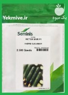 بذر خیار ویکتور سمینیس هیبرید در ساری در گروه خرید و فروش بذر خیار در یکمیوه