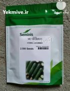 بذر خیار ویکتور سمینیس در بندرعباس در گروه خرید و فروش بذر خیار در یکمیوه