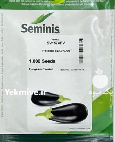 فروش بذر بادمجان 1574 سمینیس در جیرفت در گروه خرید و فروش بذر بادمجان در یکمیوه -عکس1