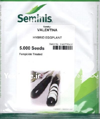 قیمت بذر بادمجان و النتینا در زاهدان در گروه خرید و فروش بذر بادمجان در یکمیوه -عکس1