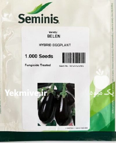 فروش بذر بادمجان بلن سمینیس در آرین شهر در گروه خرید و فروش بذر بادمجان در یکمیوه -عکس1