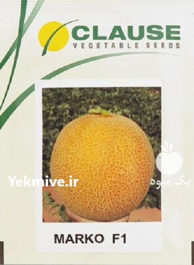 بذر خربزه گالیا مارکو در آبعلی در گروه خرید و فروش بذر خربزه در یکمیوه -عکس1