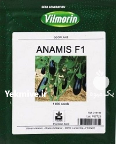 فروش بذر بادمجان انامیس در باروق در گروه خرید و فروش بذر بادمجان در یکمیوه -عکس1
