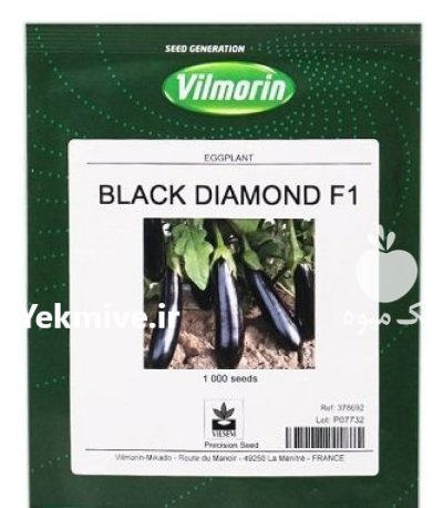 بذر بادمجان بلک دیاموند در اشنویه در گروه خرید و فروش بذر بادمجان در یکمیوه -عکس1