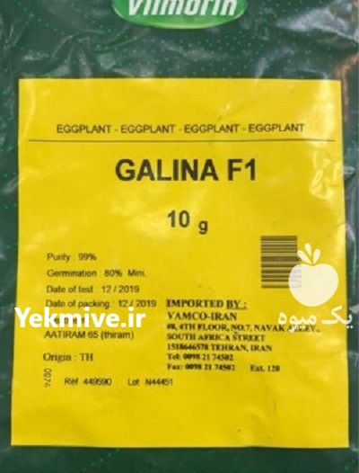 فروش بذر بادمجان گالینا در سلفچگان در گروه خرید و فروش بذر بادمجان در یکمیوه -عکس1