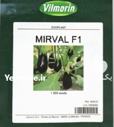 بذر بادمجان میروال در آبدانان در گروه خرید و فروش بذر بادمجان در یکمیوه -عکس1