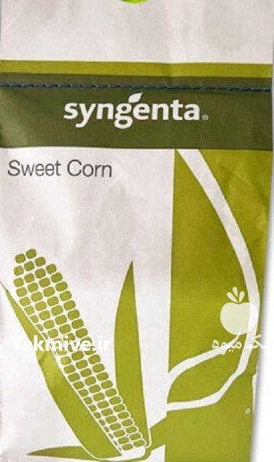 بذر ذرت تایسون در بلداجی در گروه خرید و فروش بذر ذرت در یکمیوه -عکس1