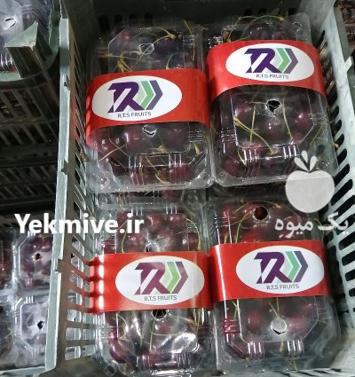 تامين و صادرات ميوه و تره بار در تهران در گروه خرید و فروش محصولات باغبانی در یکمیوه -عکس3