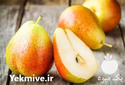 فروش نهال گلابی بیروتی در ارومیه در گروه خرید و فروش نهال گلابی در یکمیوه -عکس1