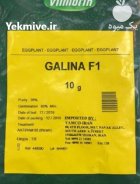 فروش بذر بادمجان گالینا در سلفچگان در گروه خرید و فروش بذر بادمجان در یکمیوه