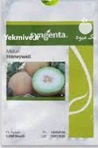 بذر خربزه ملون هانی و ل سینجنتا در آبش احمد در گروه خرید و فروش بذر خربزه در یکمیوه