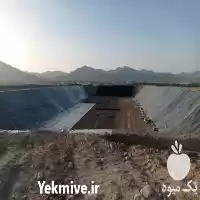 فروش ورق های ژئوممبران در اصفهان در گروه خرید و فروش ژئوممبران و ژئوتکستایل در یکمیوه