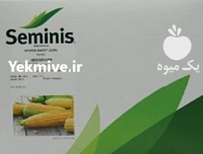 بذر ذرت مسنجر سمینیس در بایگ در گروه خرید و فروش بذر ذرت در یکمیوه -عکس1