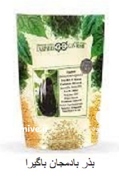 فروش بذر بادمجان باگیرا در باغین در گروه خرید و فروش بذر بادمجان در یکمیوه -عکس1