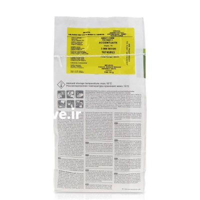 بذر ذرت اکسن چوئیت در بیستون در گروه خرید و فروش بذر ذرت در یکمیوه -عکس1