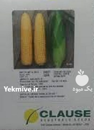 قیمت بذر ذرت بونانزا در گروه خرید و فروش بذر ذرت در یکمیوه -عکس1