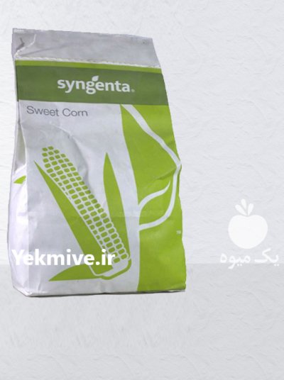 بذر ذرت تارگت در دهدشت در گروه خرید و فروش بذر ذرت در یکمیوه -عکس1