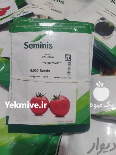 بذر پیاز سفید سایروس در کرمان  در گروه خرید و فروش بذر پیاز در یکمیوه -عکس1