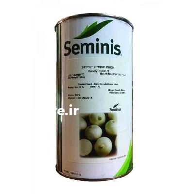 بذر پیاز سایروس در کرمان  در گروه خرید و فروش بذر پیاز در یکمیوه -عکس1