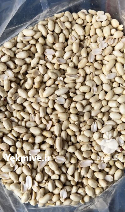 بادام زمینی خام چینی در تهران در گروه خرید و فروش بادام در یکمیوه -عکس2