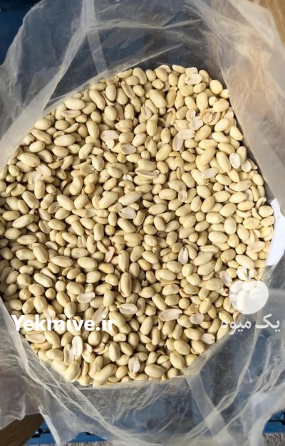 بادام زمینی خام چینی در تهران در گروه خرید و فروش بادام در یکمیوه -عکس3