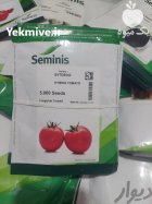 بذر گوجه فرنگی بریویو در کرمان  در گروه خرید و فروش بذر گوجه در یکمیوه