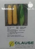 قیمت بذر ذرت بونانزا در گروه خرید و فروش بذر ذرت در یکمیوه