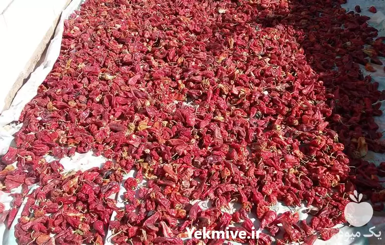 فروش فلفل کنجد زیره درجه یک در گروه خرید و فروش دانه های روغنی در یکمیوه -عکس1