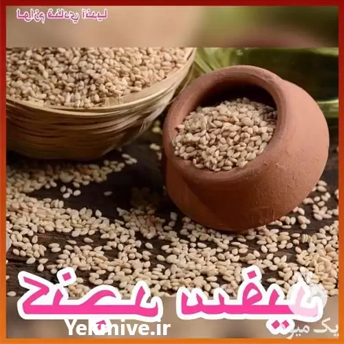 فروش کنجد سفید در تهران در گروه خرید و فروش دانه های روغنی در یکمیوه -عکس1