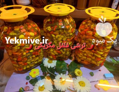 مزرعه اپونتیا تولید کننده محصولات غذایی در کرج در گروه محصولات ترشی در یکمیوه -عکس2