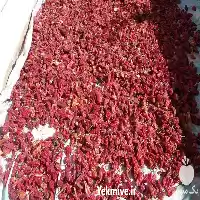 فروش فلفل کنجد زیره درجه یک در گروه خرید و فروش دانه های روغنی در یکمیوه