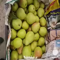 میوه گلابی اسپادانا دیر رس در گرگان در گروه خرید و فروش گلابی در یکمیوه