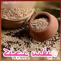 فروش کنجد سفید در تهران در گروه خرید و فروش دانه های روغنی در یکمیوه