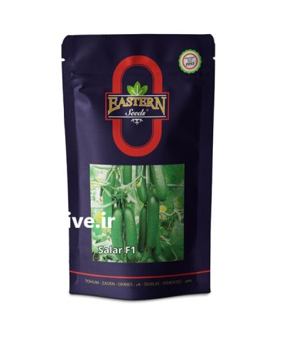 فروش بذر خیار سالار با بهترین در گروه خرید و فروش بذر خیار در یکمیوه -عکس1