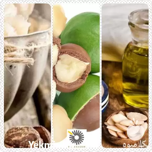 قیمت خرید عرضه روغن جوجوبا انواع در تهران در گروه خرید و فروش انواع روغن در یکمیوه -عکس1