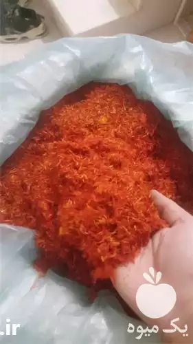 فروش عمده گلرنگ قرمز در سنندج در گروه خرید و فروش گیاهان صنعتی در یکمیوه -عکس1