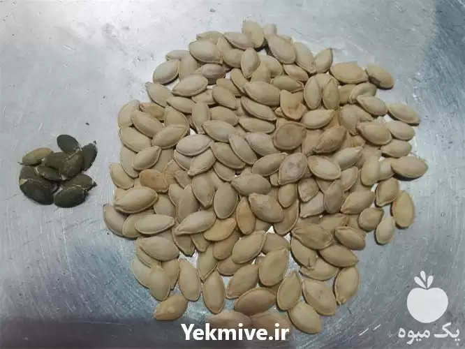 فروش تخم کدو خام درجه یک در ارومیه در گروه خرید و فروش آجیل در یکمیوه -عکس1