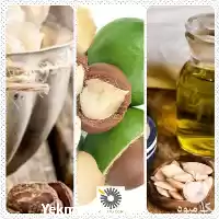 قیمت خرید عرضه روغن جوجوبا انواع در تهران در گروه خرید و فروش انواع روغن در یکمیوه