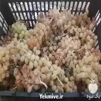 قیمت خرید انگور ارگانیک در تبریز در گروه خرید و فروش انگور در یکمیوه