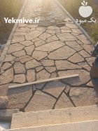 اجرا کننده مالون سنگ لاشه سنگ در کرج در گروه سازنده در یکمیوه