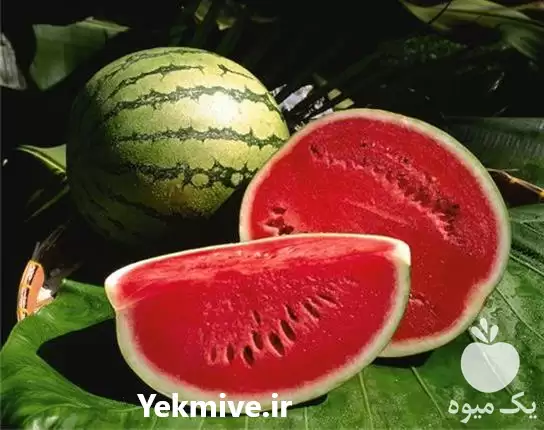 قیمت خرید هندوانه صادراتی در زاهدان در گروه خرید و فروش هندوانه در یکمیوه -عکس1