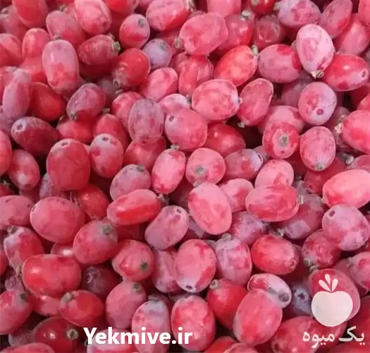 قیمت خرید پخش زرشک اعلا پفکی در گروه خرید و فروش زرشک در یکمیوه -عکس1