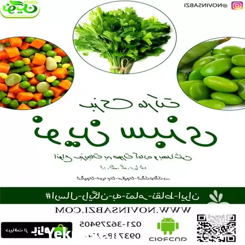 فروش سبزیجات خانگی نوین سبزی در تهران در گروه انواع سرخ شده و پخته شده در یکمیوه -عکس1