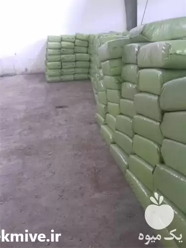 فروش ذرت علوفه بسته بندی شده در گرگان در گروه خوراک دام و طیور در یکمیوه -عکس1
