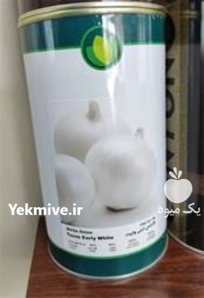 فروش عرضه بذر پیاز سفید ارلی در گروه خرید و فروش بذر پیاز در یکمیوه -عکس1