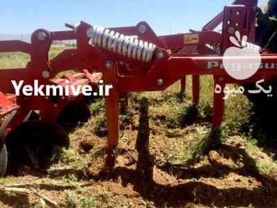 خاکورز خاک و رز در گروه خرید و فروش خاک ورز در یکمیوه -عکس3