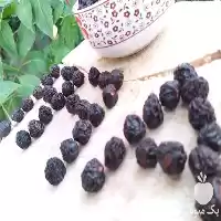 فروش آلبالو خشک درجه یک در گروه خرید و فروش آلبالو در یکمیوه