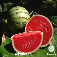 قیمت خرید هندوانه صادراتی در زاهدان در گروه خرید و فروش هندوانه در یکمیوه