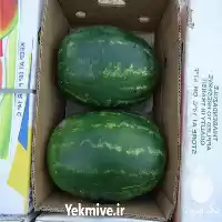 قیمت خرید هندوانه صادراتی در زاهدان در گروه خرید و فروش هندوانه در یکمیوه