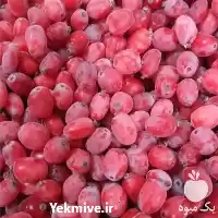 قیمت خرید پخش زرشک اعلا پفکی در گروه خرید و فروش زرشک در یکمیوه